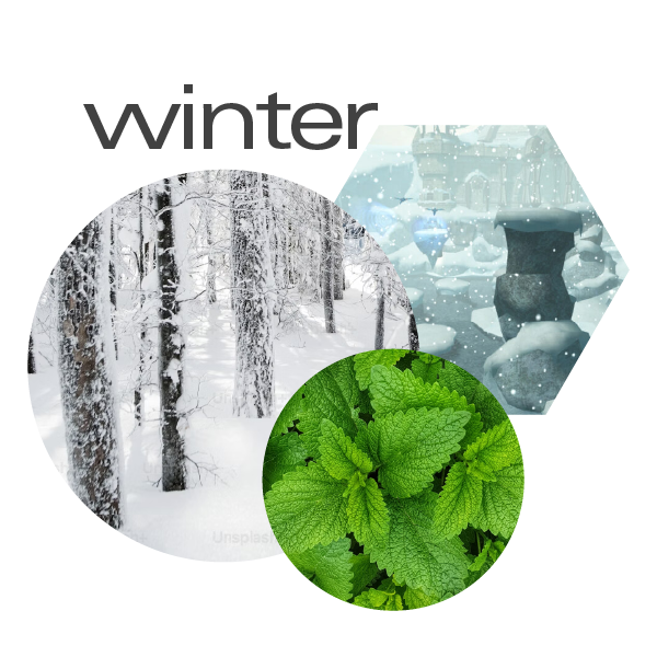 A winter-themed graphic with the word 'winter' above three circular and hexagonal scenic panels: a snowy forest, a snow-covered stone structure, and a close-up of bright green leaves on a white background.