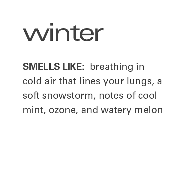 A text-based graphic with the word 'winter' in large dark gray letters above a definition reading 'SMELLS LIKE: breathing in cold air that lines your lungs, a soft snowstorm, notes of cool mint, ozone, and watery melon' on a plain white background.