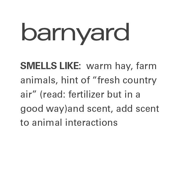 A text-based graphic with the brand name 'barnyard' at the top and a scent description below reading 'SMELLS LIKE: warm hay, farm animals, hint of "fresh country air" (read: fertilizer but in a good way)and scent, add scent to animal interactions' on a plain white background.